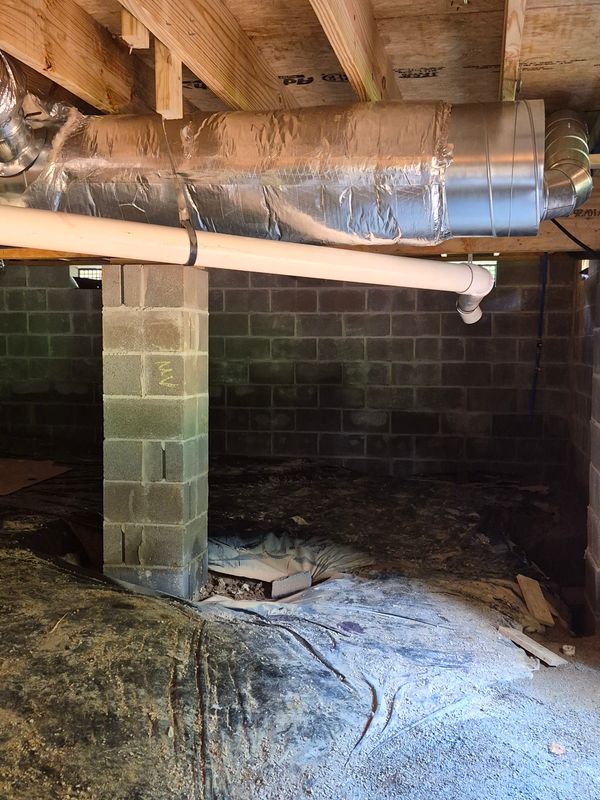 Water line, Sewer line and Drain line Repair and Replacement