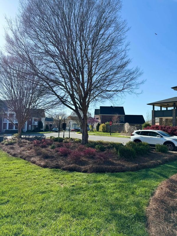 Landscaping