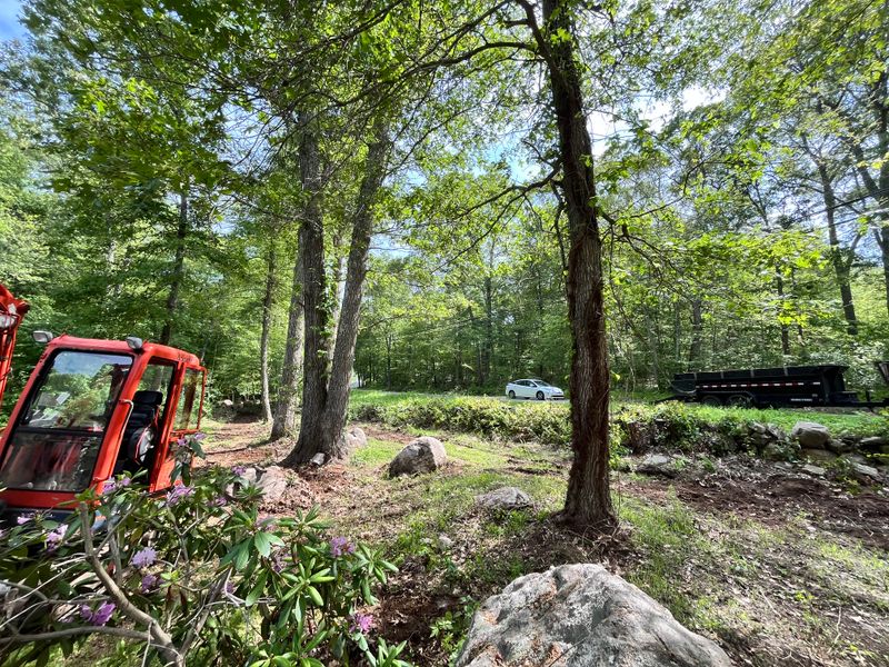 Land Clearing