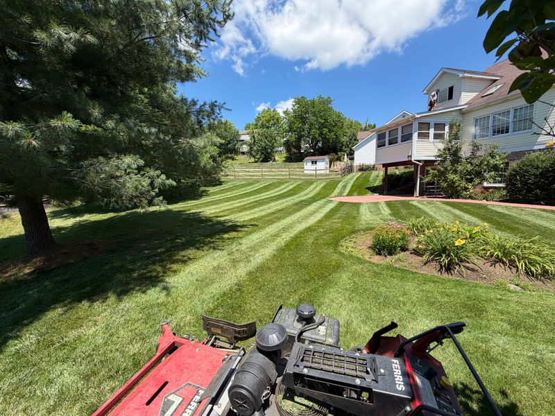 Lawn Care
