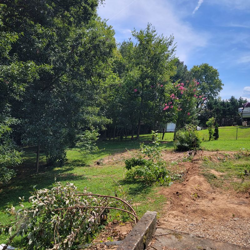 Deck and fence removal