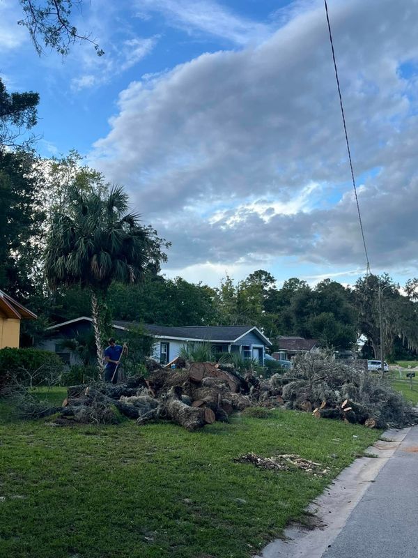 Tree company