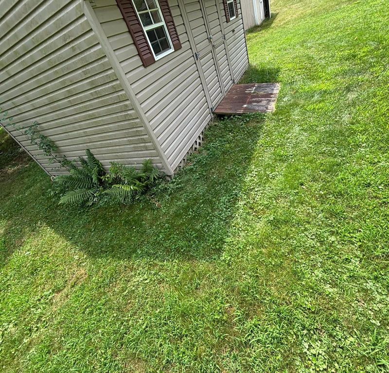 Lawn Mowing