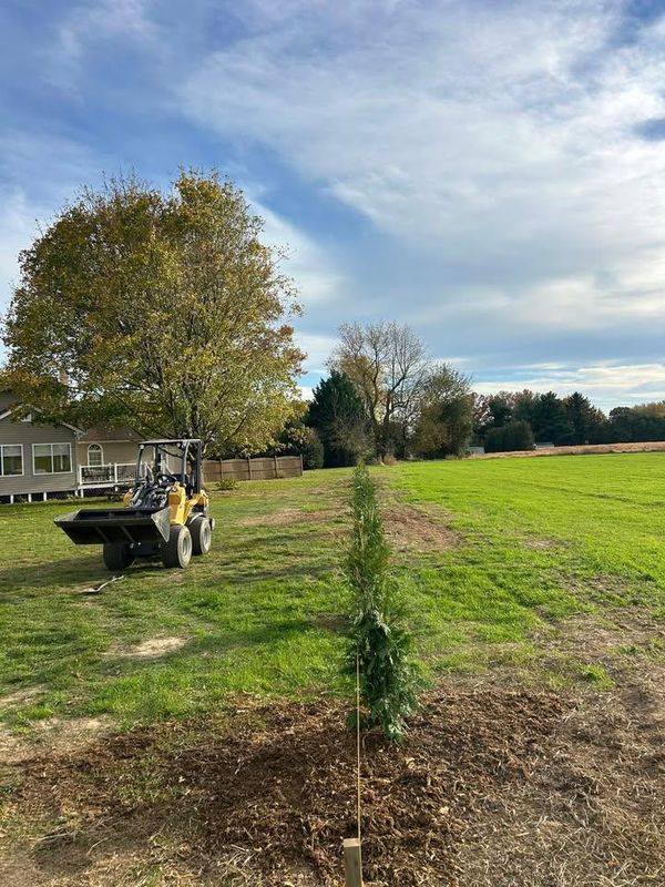 Tree and Shrub Planting