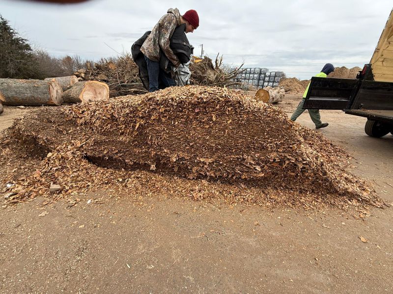 Mulch Installation