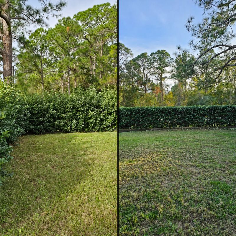 Lawn Care & Maintenance
