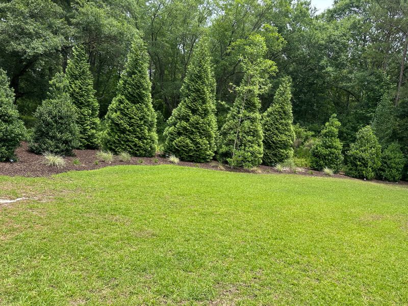 Lawn Care & Maintenance