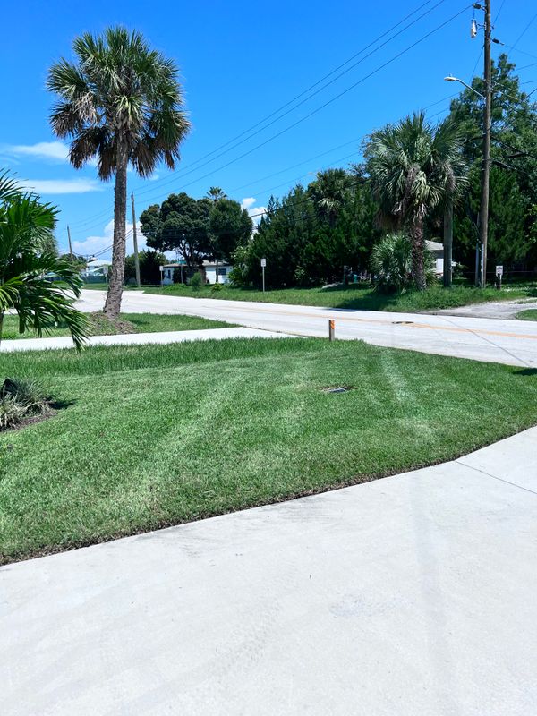 Lawn Maintenance