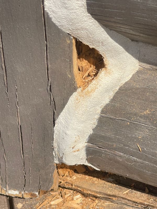 Log Home Restoration