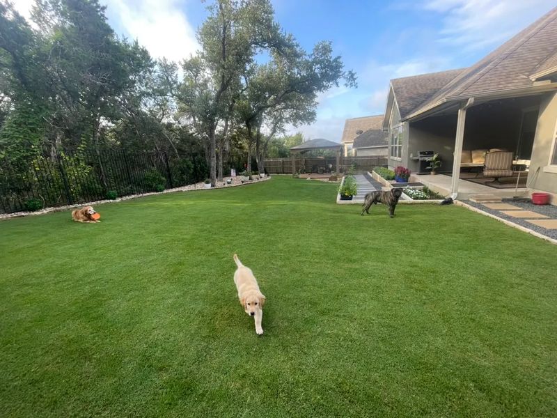 Artificial Turf Installation