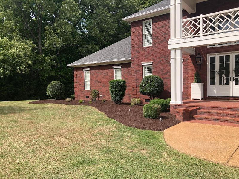Tree & Shrub Care