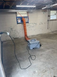 Mold Remediation gallery