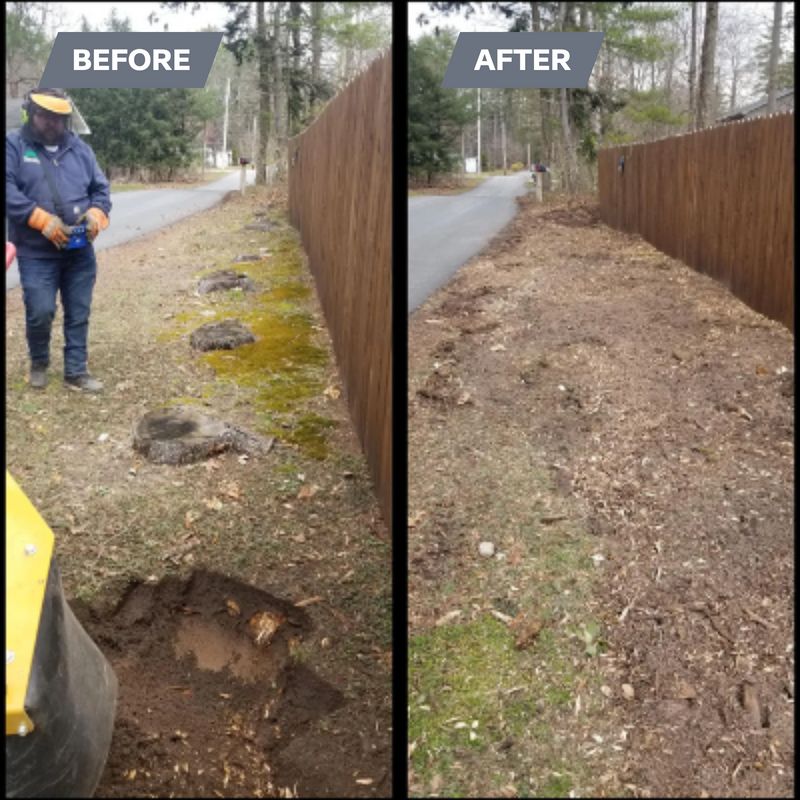 Stump Removal