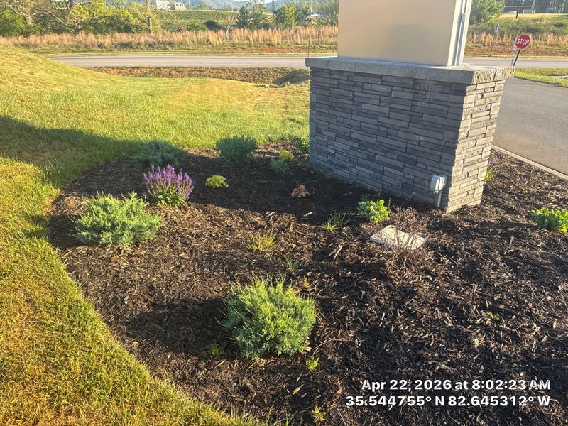 Lawn Care Services