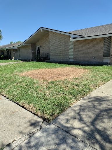 Stump Removal