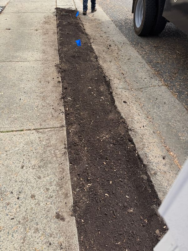 Sod Installation gallery