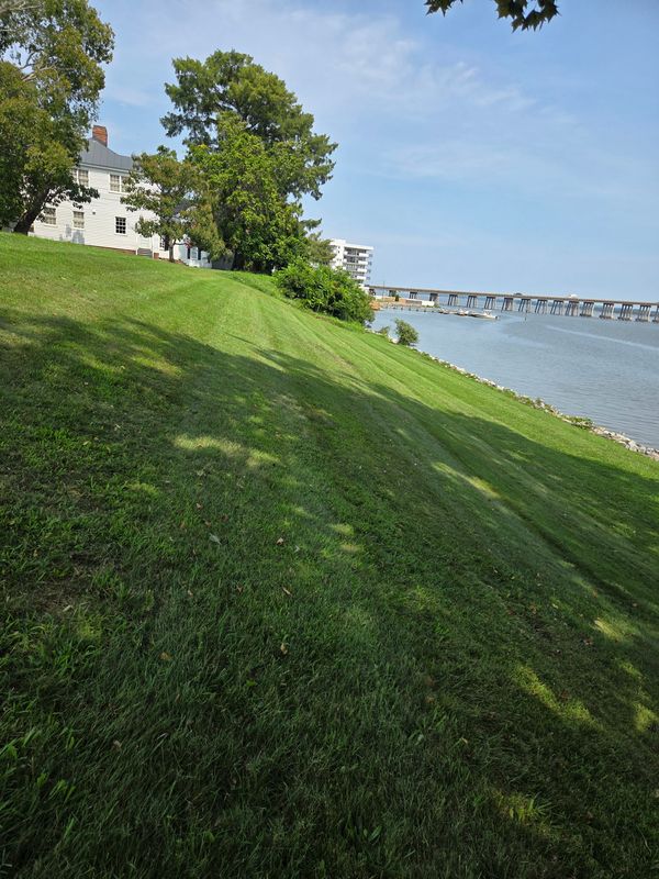 Lawn Care & Maintenance