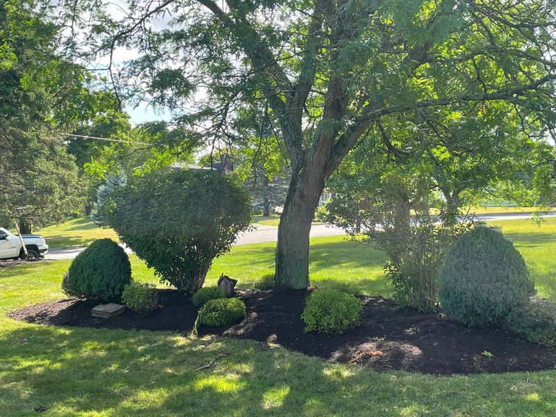 Landscape-Design