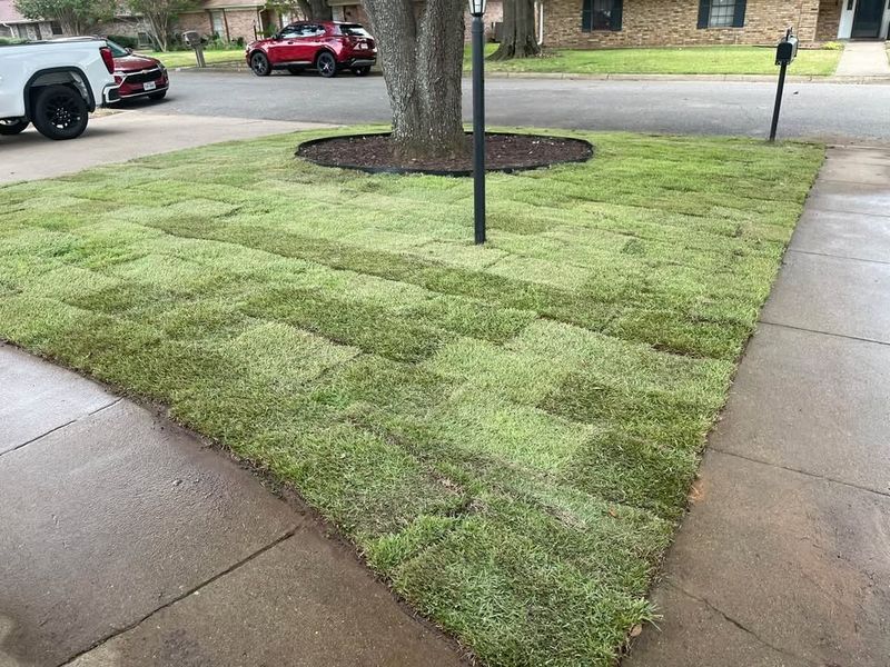 Sod Installation