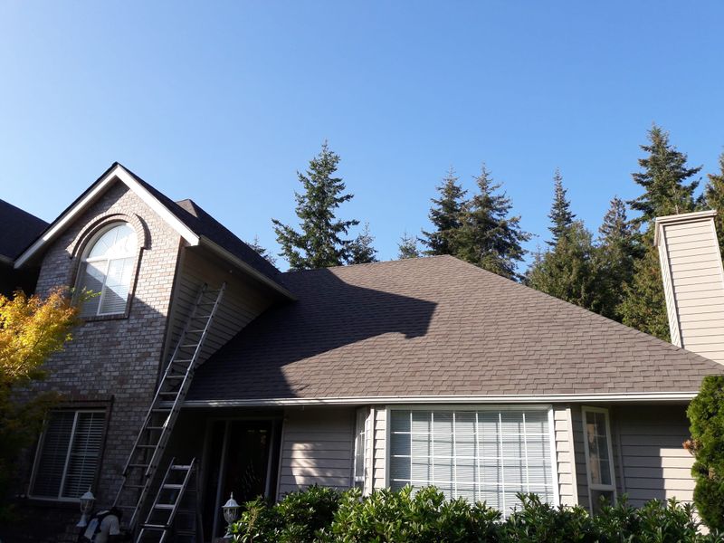 Shingle Roofing