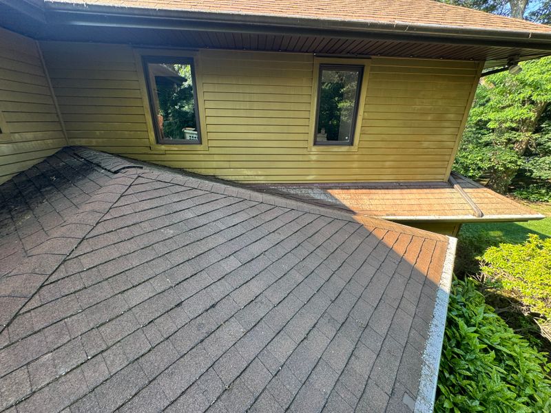 Roof Cleaning