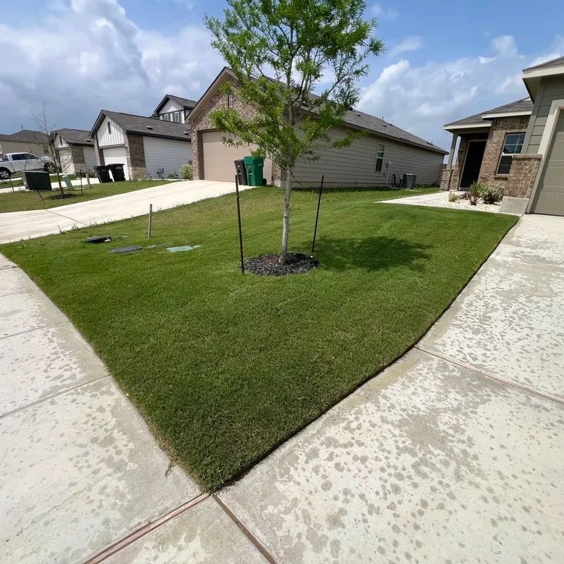 Lawn Mowing