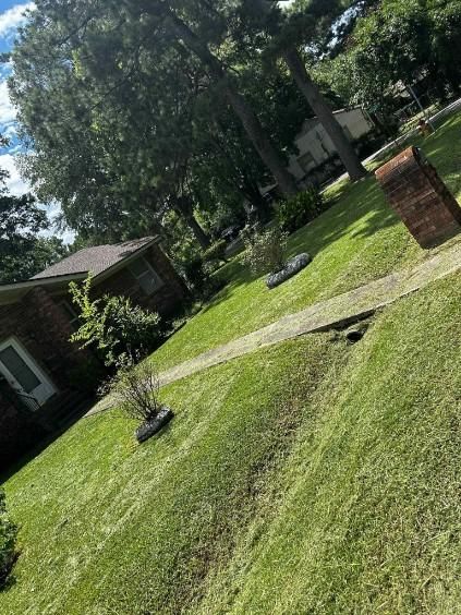 Yard Services