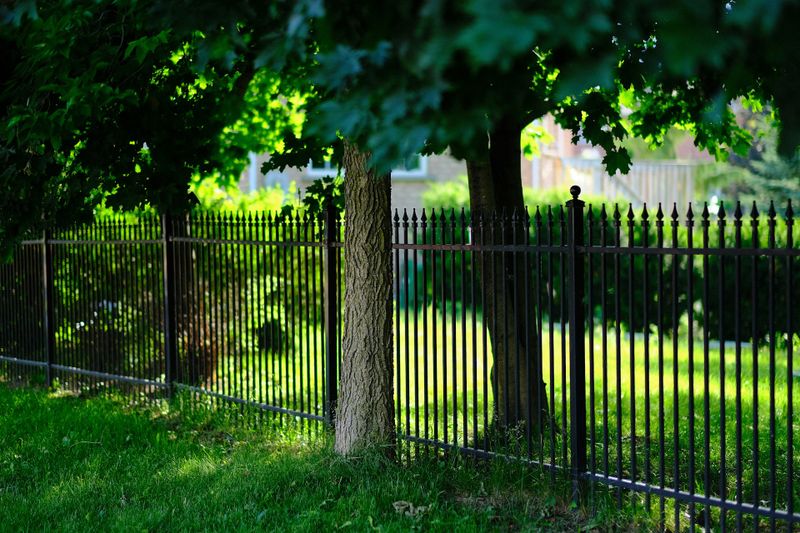 Fencing