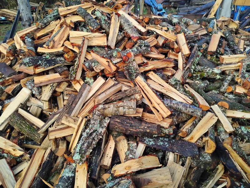 Tree Removal gallery