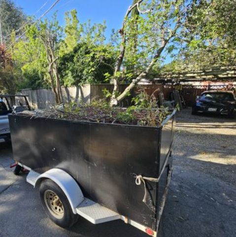 Junk Removal