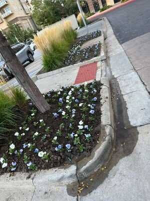 Landscaping