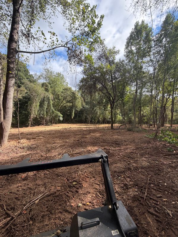 Forestry Mulching