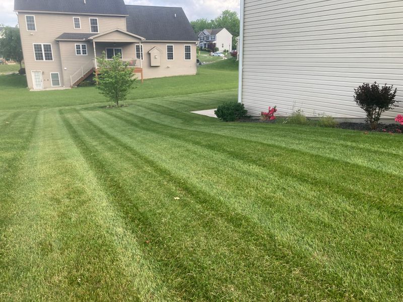 Lawn Maintenance