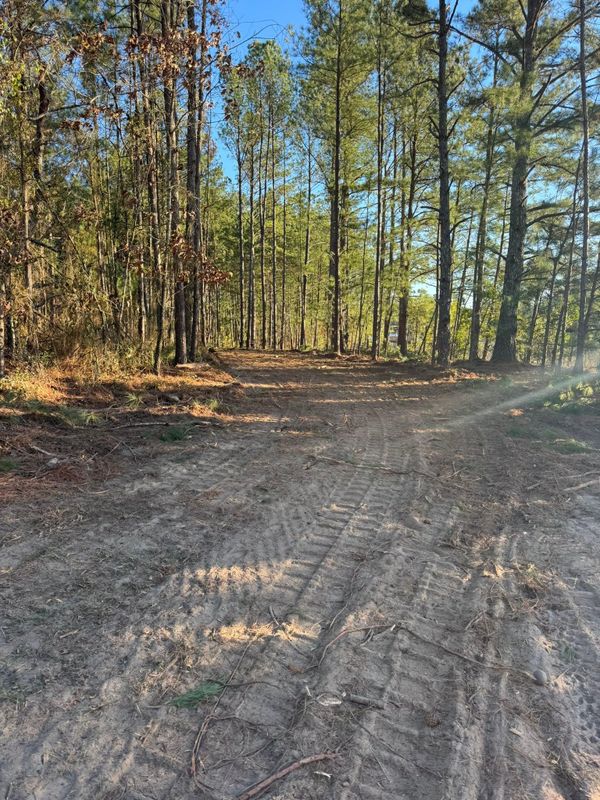 Forestry Mulching