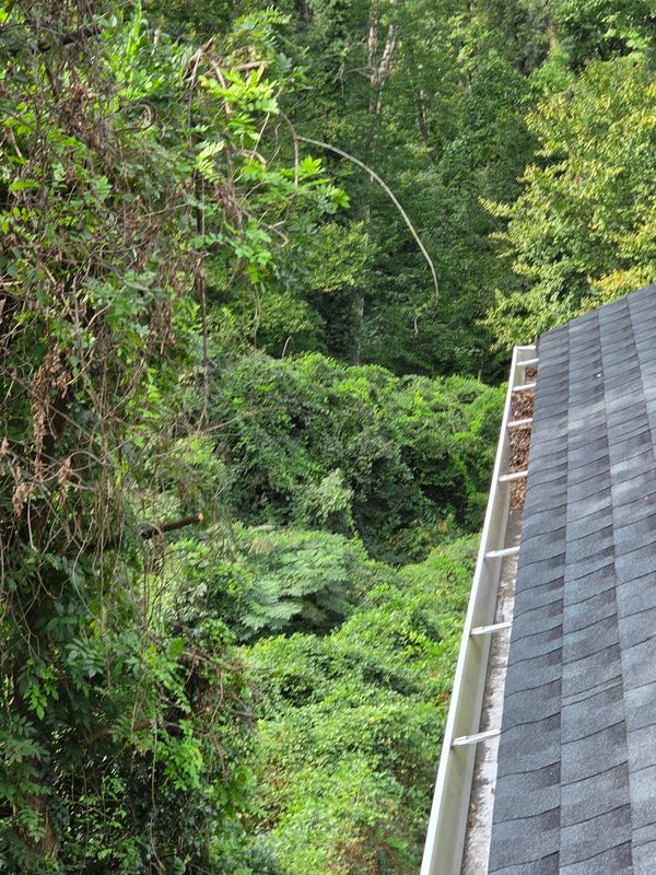 🏠 Gutter Cleaning & Roof Maintenance