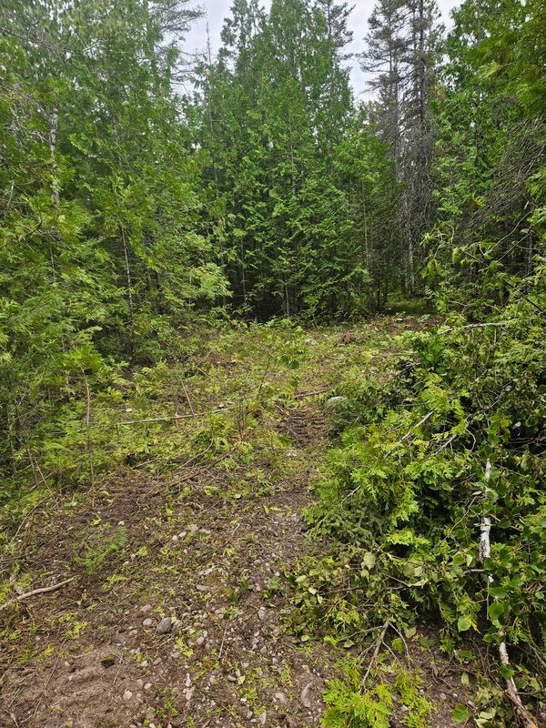 Lot Clearing