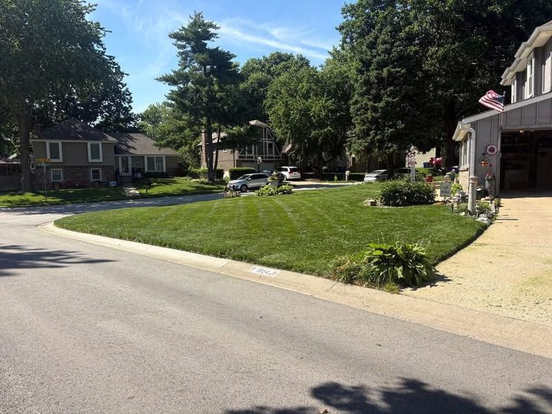 Lawn Mowing Services
