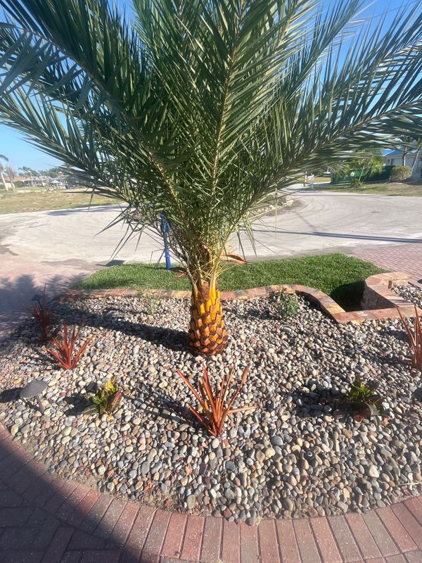 Landscaping