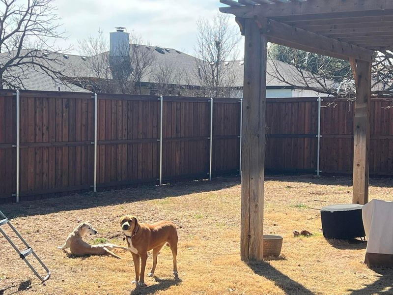 Wood Fencing
