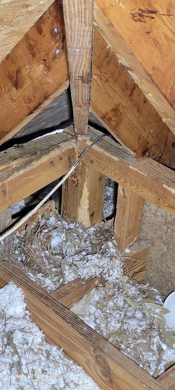 Pest Prevention