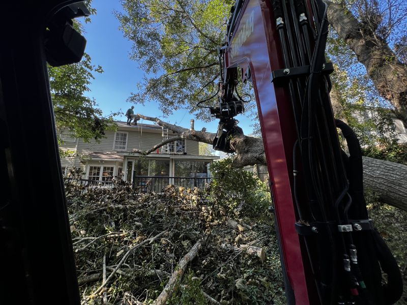 Storm & Disaster Response