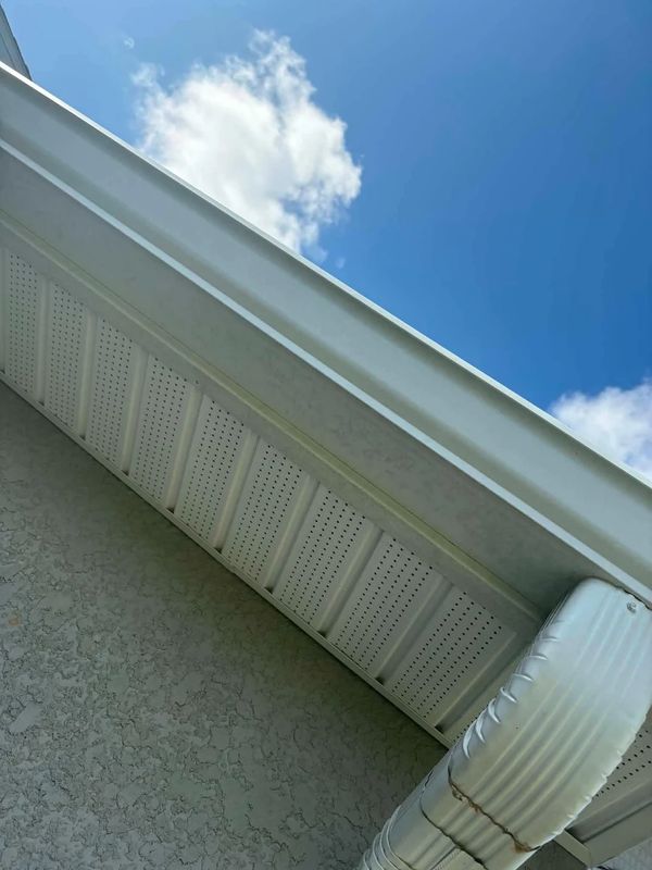 Gutter Cleaning