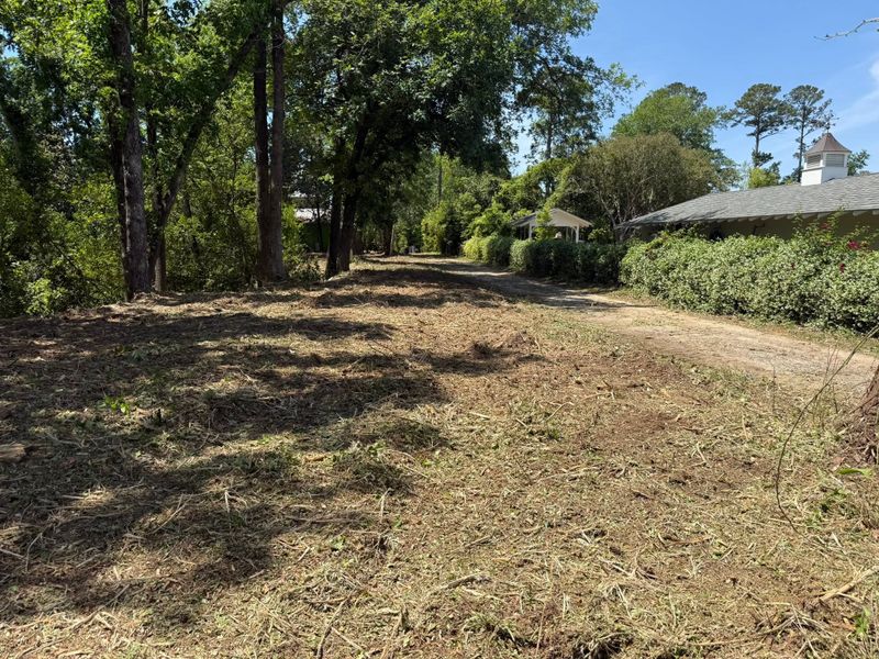 Land Clearing