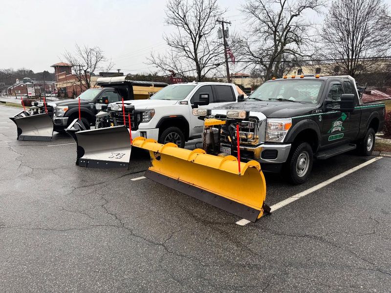 Snow Removal