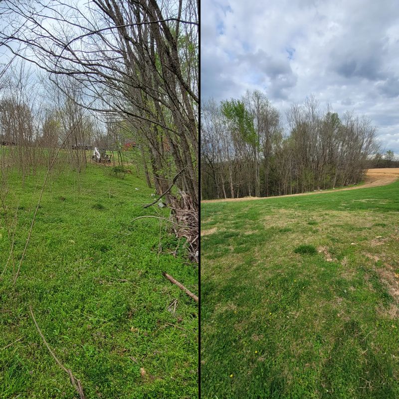 Land Clearing gallery