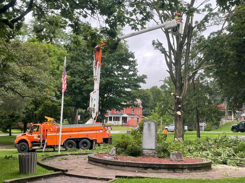 Storm Damage Clean-Up