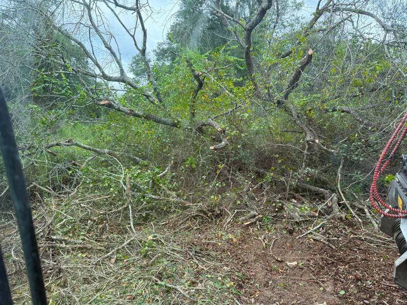Land Clearing