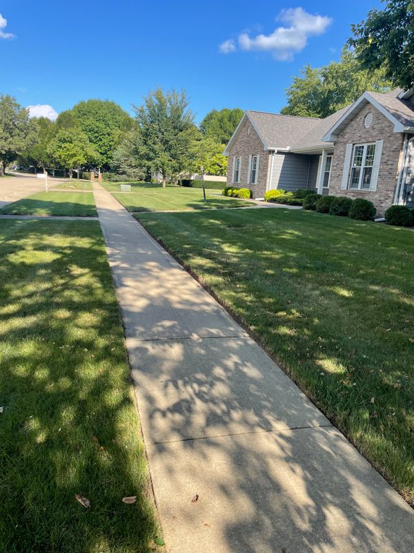Lawn Maintenance