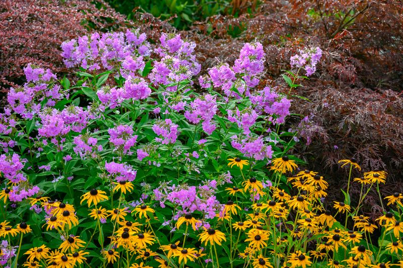 Perennial Gardens gallery