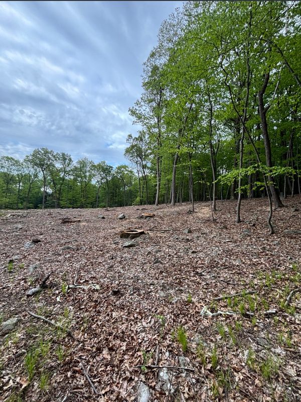 Residential Land Clearing